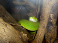 gal/07 - Sihanoukville/_thb_RIMG1993.jpg